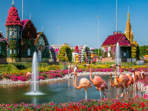 Dubai: Ăn tối Trên Du thuyền Sang trọng - Ảnh 2